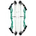 Kinetic Static Compound Bow