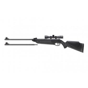 Beeman 1022 Air Rifle
