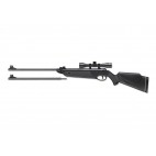 Beeman 1022 Air Rifle