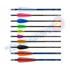 AAE Arizona Vanes EP-16