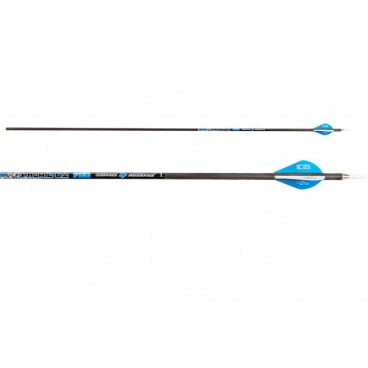 Skylon Arrows Phoric x12