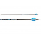 Skylon Arrows Phoric